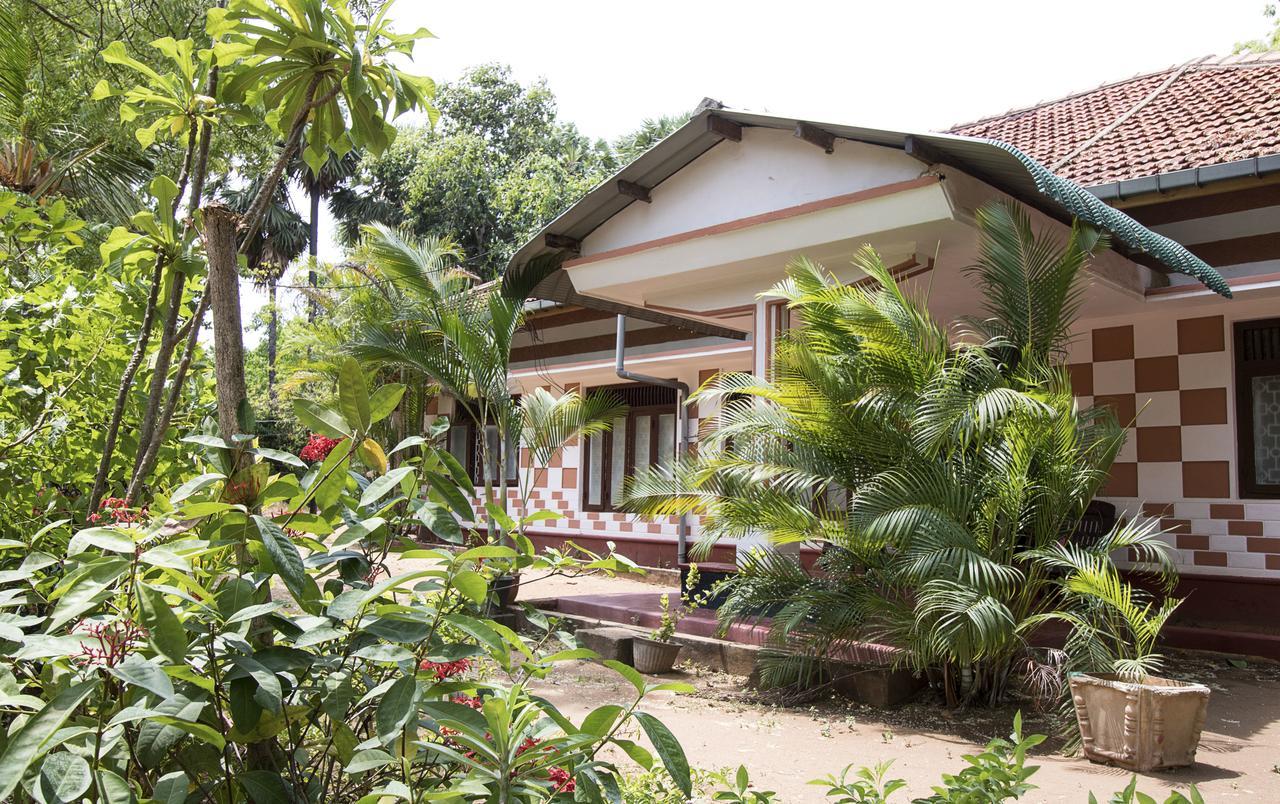 Neem Beach House 亭可马里 外观 照片